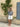SALANIDA Ribbed Shorts in White | TERRA